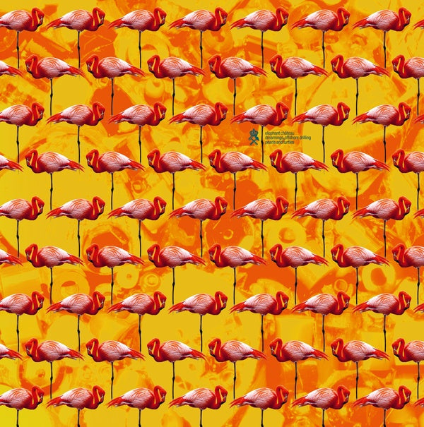 Dreamings & Offshore Drilling - Pearls And Turtles | Get Cheap Vinyl