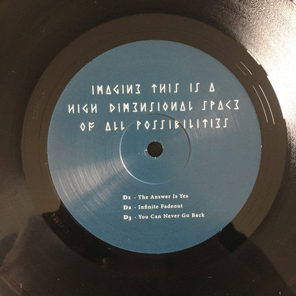Imagine This Is A High Dimensional Space Of All Possibilities (2xVINYL) | Mint (M) Mint (M) Get Cheap Vinyl