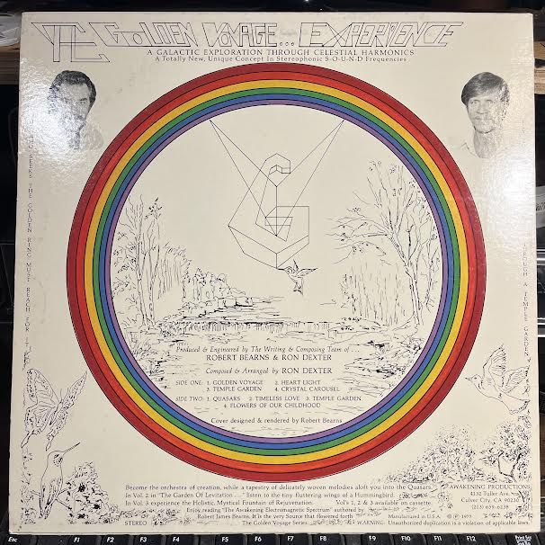 The Golden Voyage Vol. One (VINYL) | Near Mint (NM) Near Mint (NM) Get Cheap Vinyl