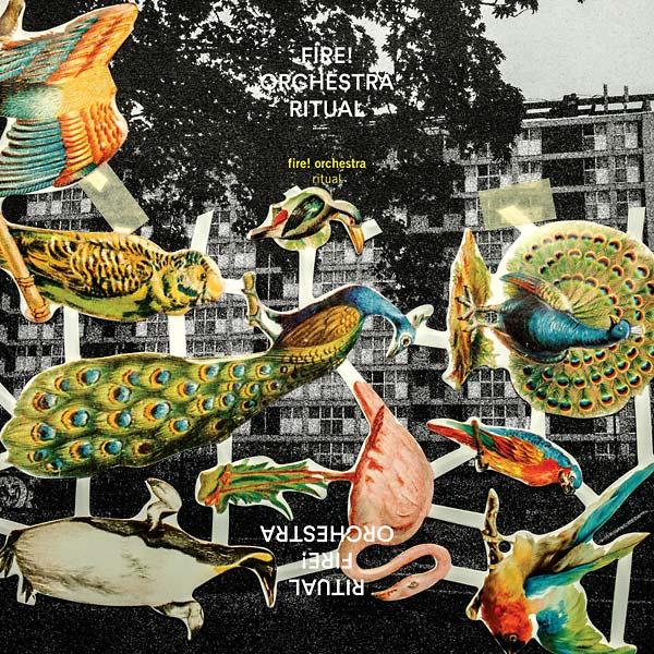 Ritual | Get Cheap Vinyl