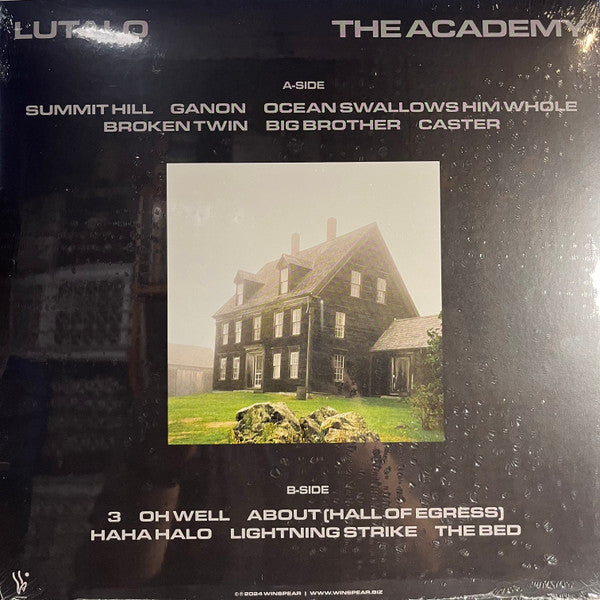 The Academy | Mint (M) Mint (M) Get Cheap Vinyl