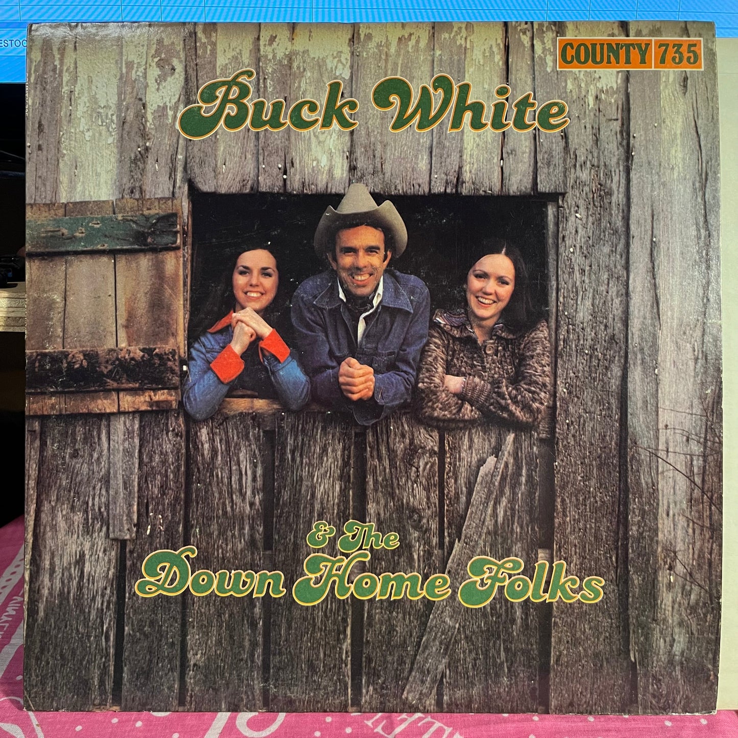 Buck White & The Down Home Folks | Near Mint (NM) Excellent (EX) Get Cheap Vinyl