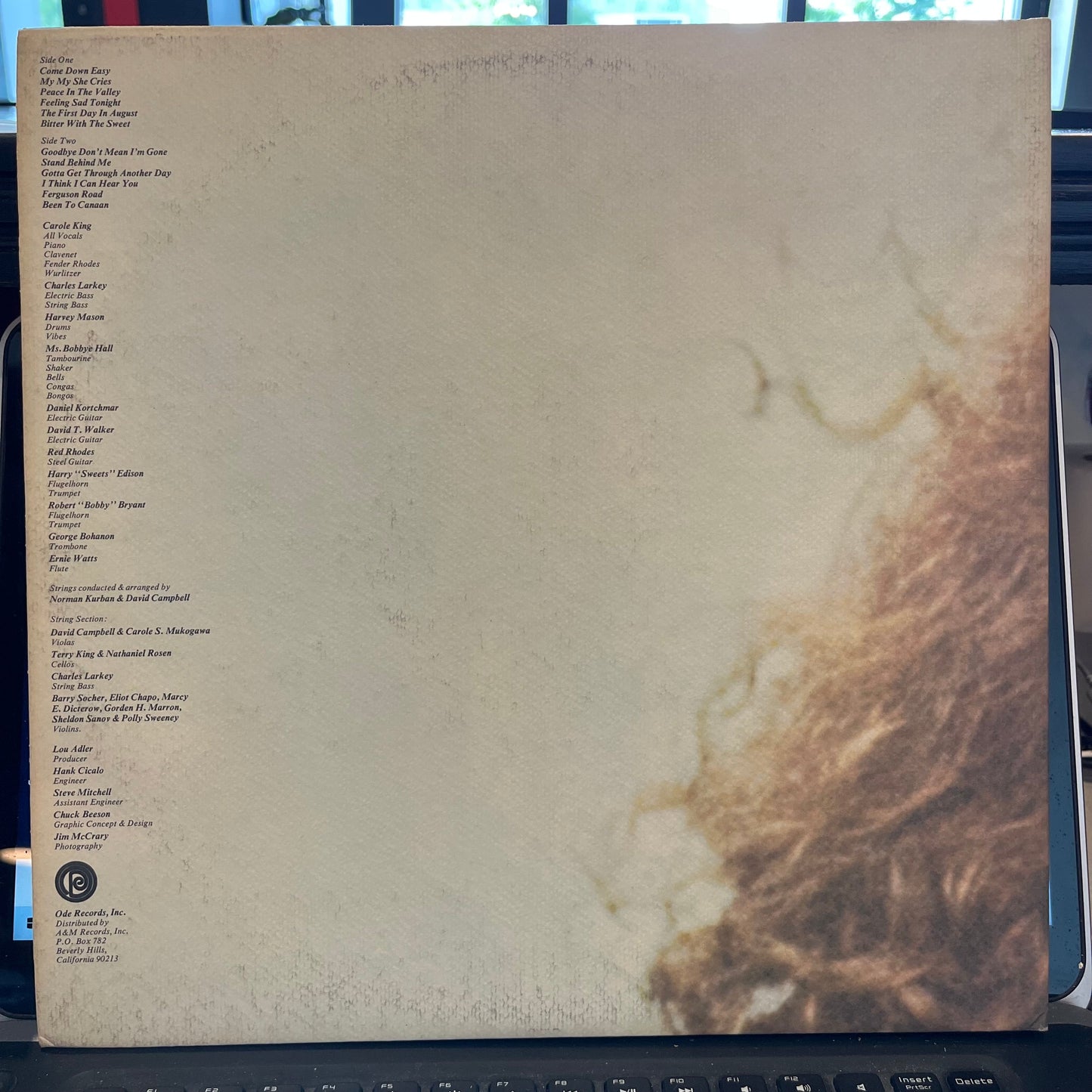 Rhymes & Reasons | Near Mint (NM) Near Mint (NM) Get Cheap Vinyl