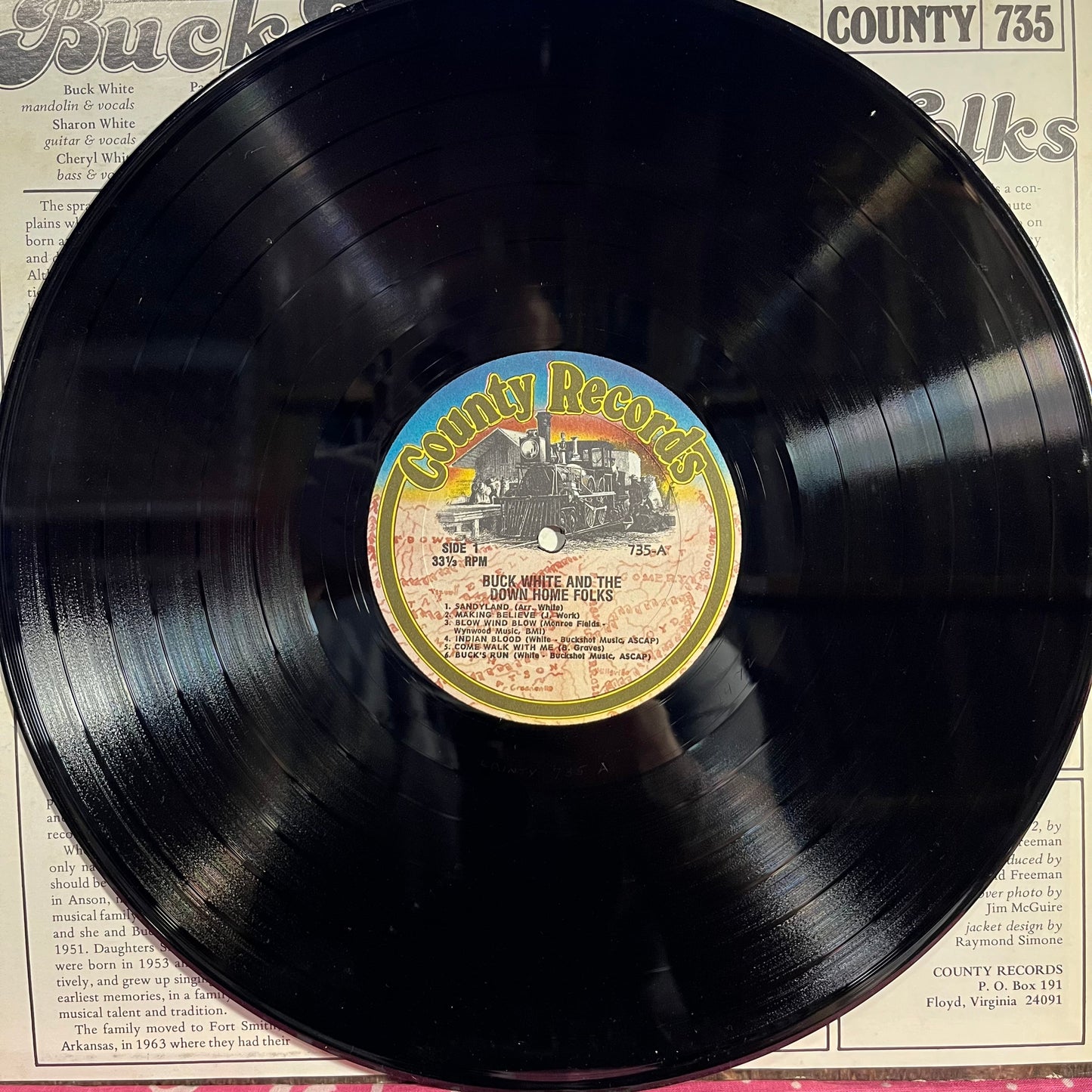Buck White & The Down Home Folks | Near Mint (NM) Excellent (EX) Get Cheap Vinyl