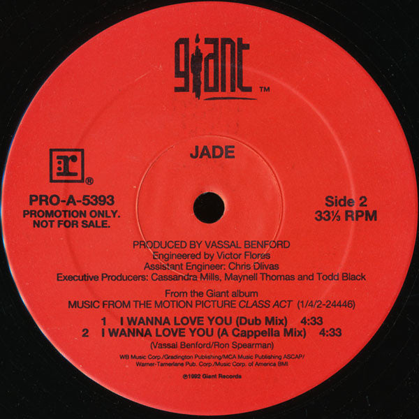 I Wanna Love You (VINYL) | Near Mint (NM) Excellent+ (EX+) Get Cheap Vinyl