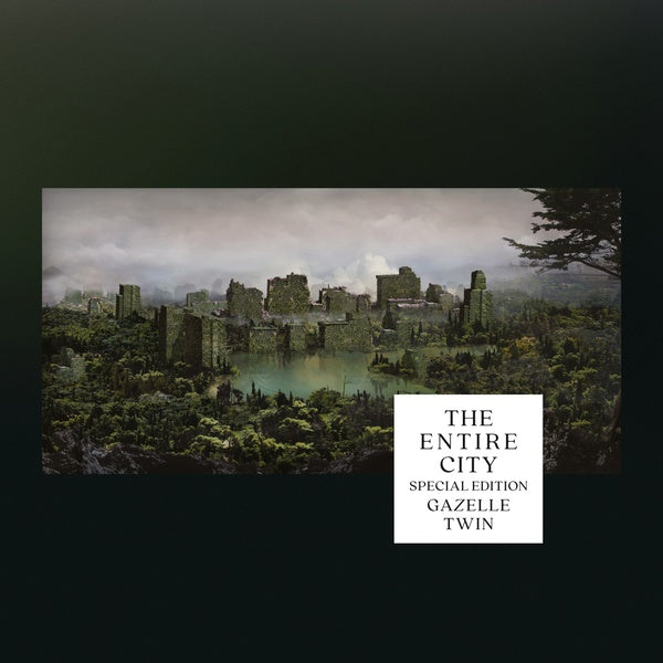 The Entire City / The Wastelands | Get Cheap Vinyl