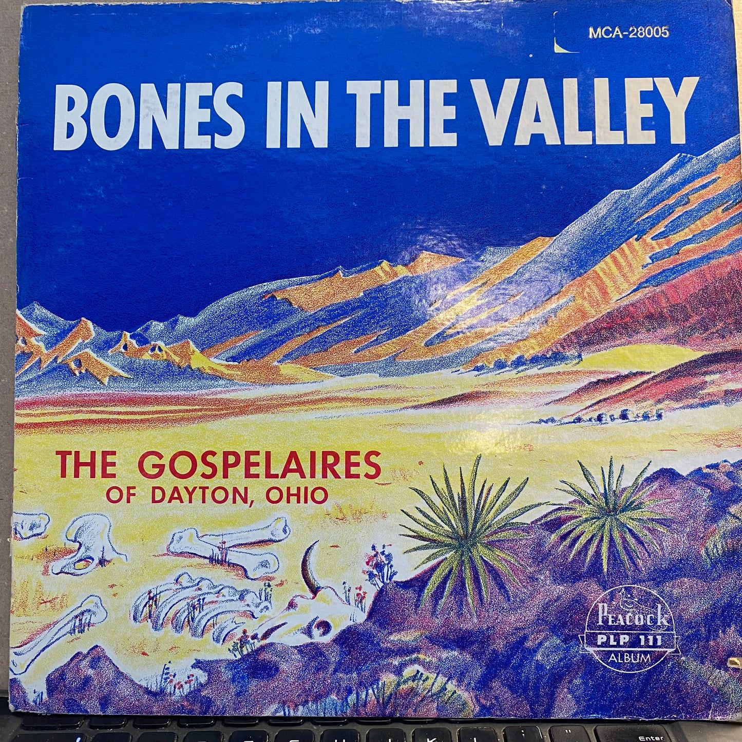 Bones In The Valley | Excellent (EX) Very Good (VG) Get Cheap Vinyl