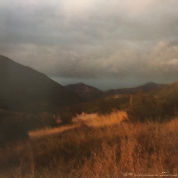 Injury Reserve (VINYL) | Mint (M) Mint (M) Get Cheap Vinyl