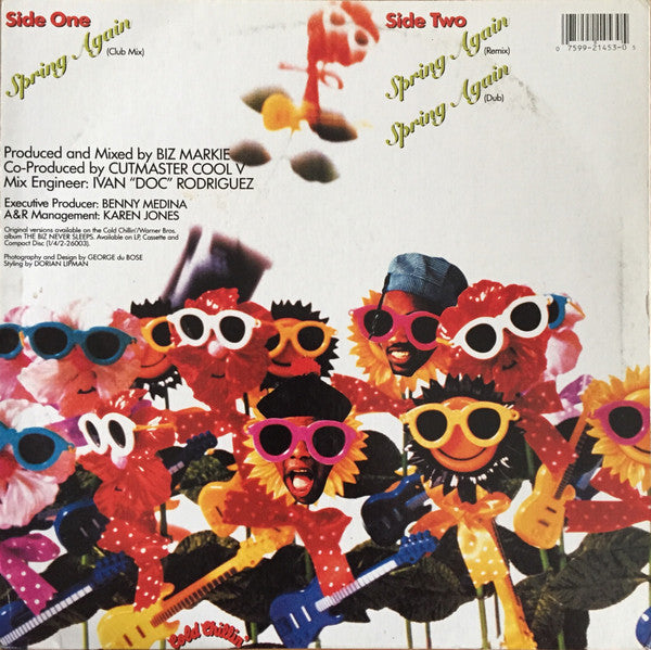 Spring Again (VINYL) | Excellent (EX) Near Mint (NM) Get Cheap Vinyl