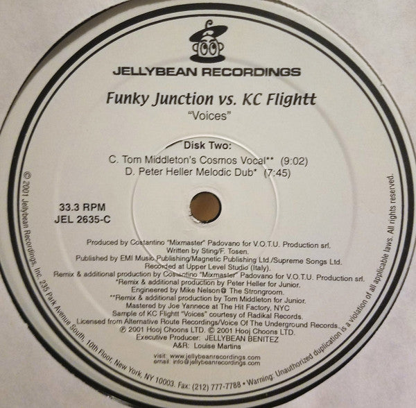 Voices | Excellent (EX) Excellent (EX) Get Cheap Vinyl
