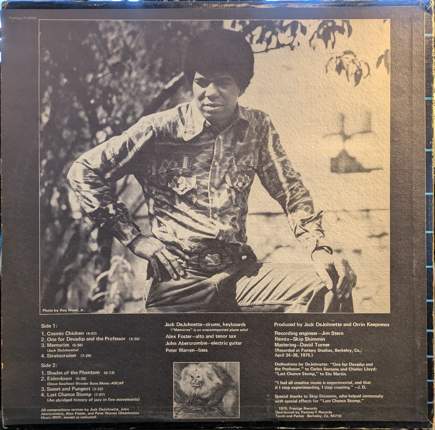 Cosmic Chicken (VINYL) | Near Mint (NM) Very Good Plus (VG+) Get Cheap Vinyl