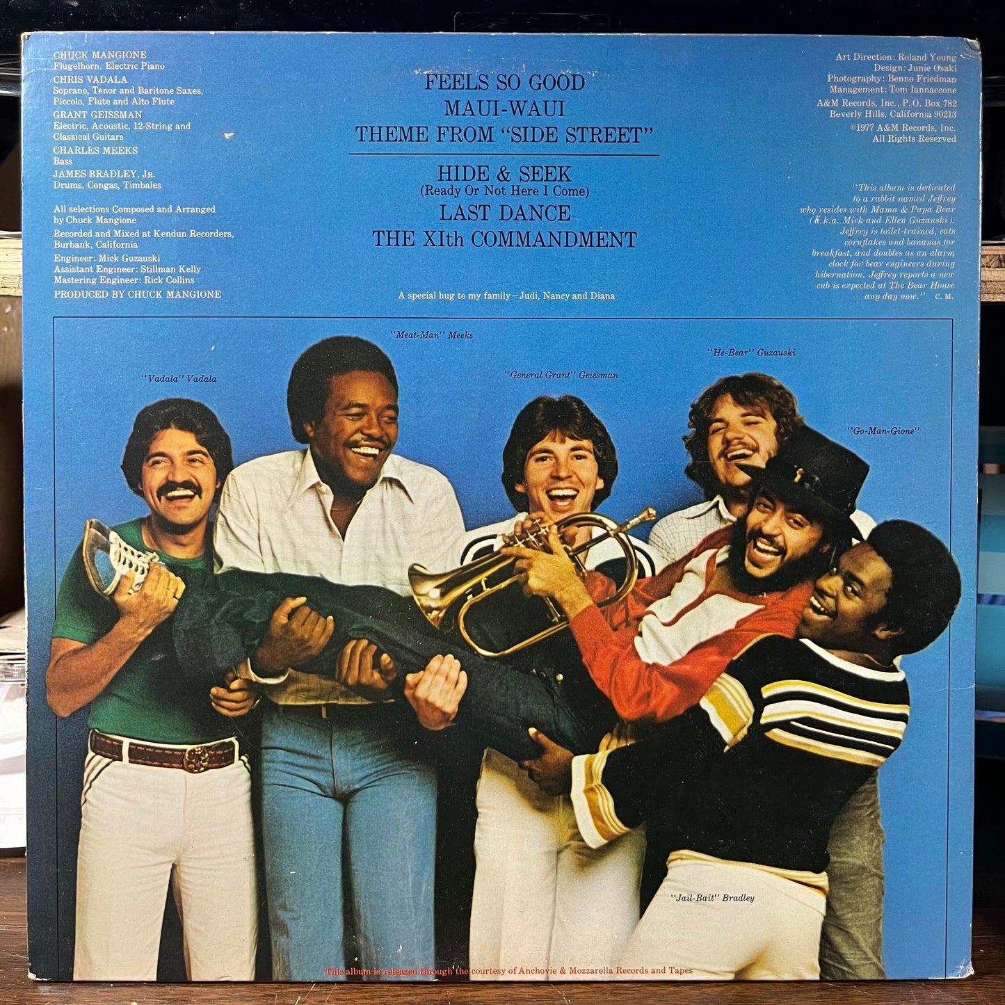 Feels So Good (VINYL) | Near Mint (NM or M-) Excellent (EX) Get Cheap Vinyl