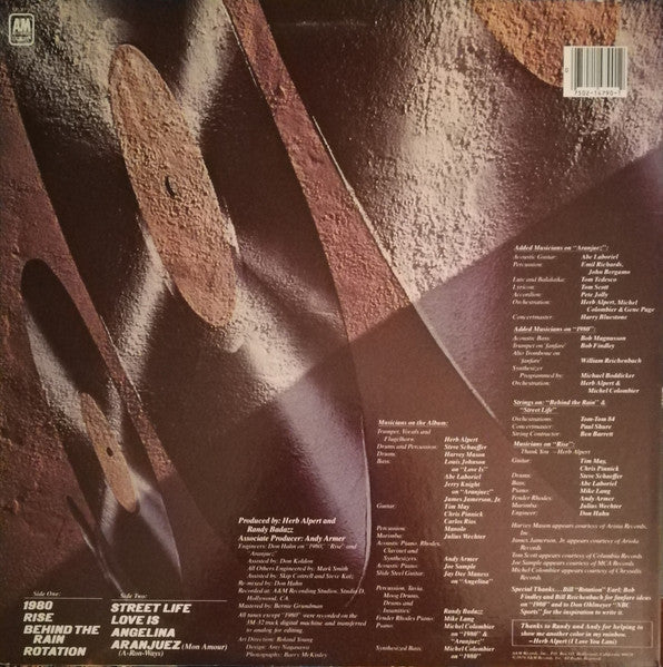 Rise (VINYL) | Near Mint (NM) Near Mint (NM) Get Cheap Vinyl