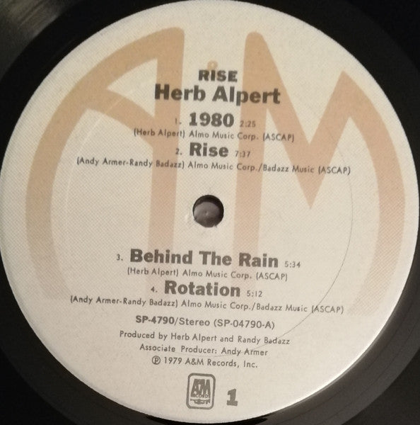 Rise (VINYL) | Near Mint (NM) Near Mint (NM) Get Cheap Vinyl