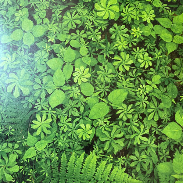 Agor | Mint (M) Mint (M) Get Cheap Vinyl