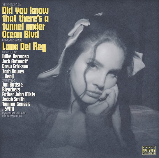 Did You Know That There's A Tunnel Under Ocean Blvd | Mint (M) Mint (M) Get Cheap Vinyl