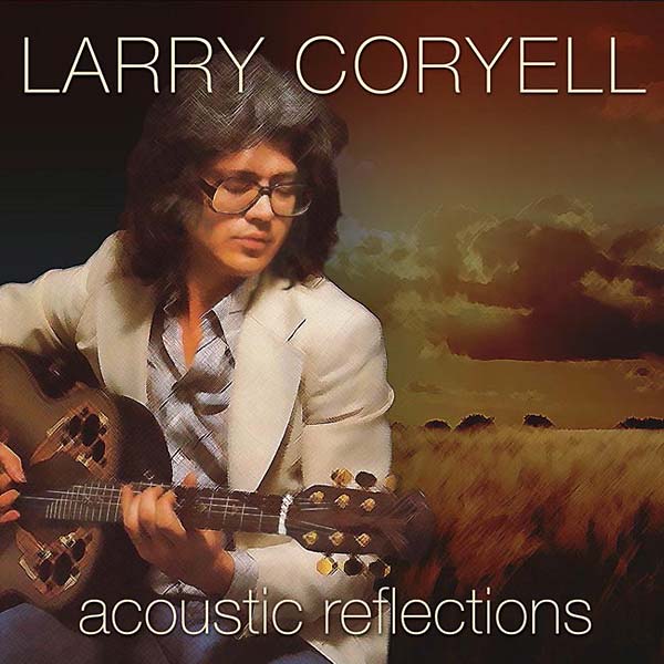 Acoustic Reflections | Get Cheap Vinyl