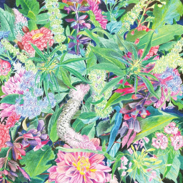 The Rising Wave | Mint (M) Mint (M) Get Cheap Vinyl