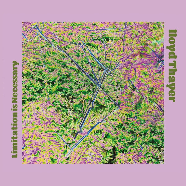 Limitation Is Necessary | Get Cheap Vinyl