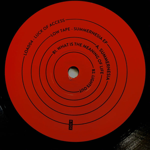 Summernesia EP | Mint (M) Mint (M) Get Cheap Vinyl