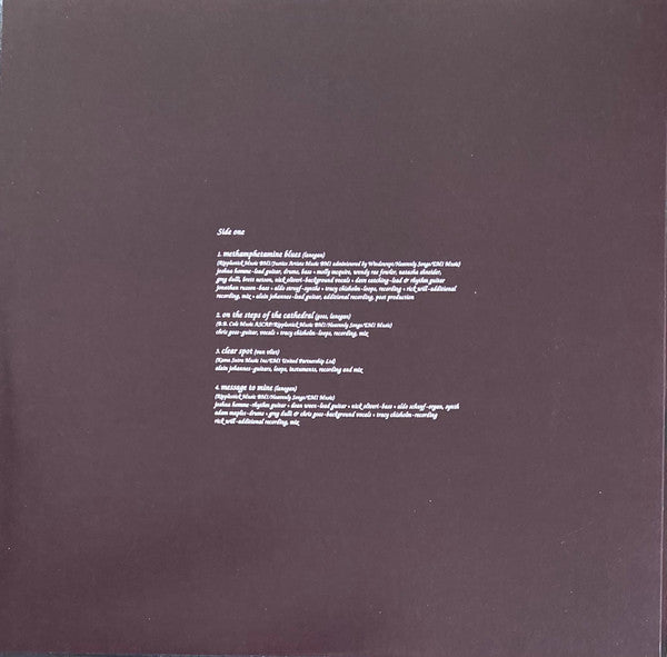 Here Comes That Weird Chill (Methamphetamine Blues, Extras & Oddities) | Mint (M) Mint (M) Get Cheap Vinyl