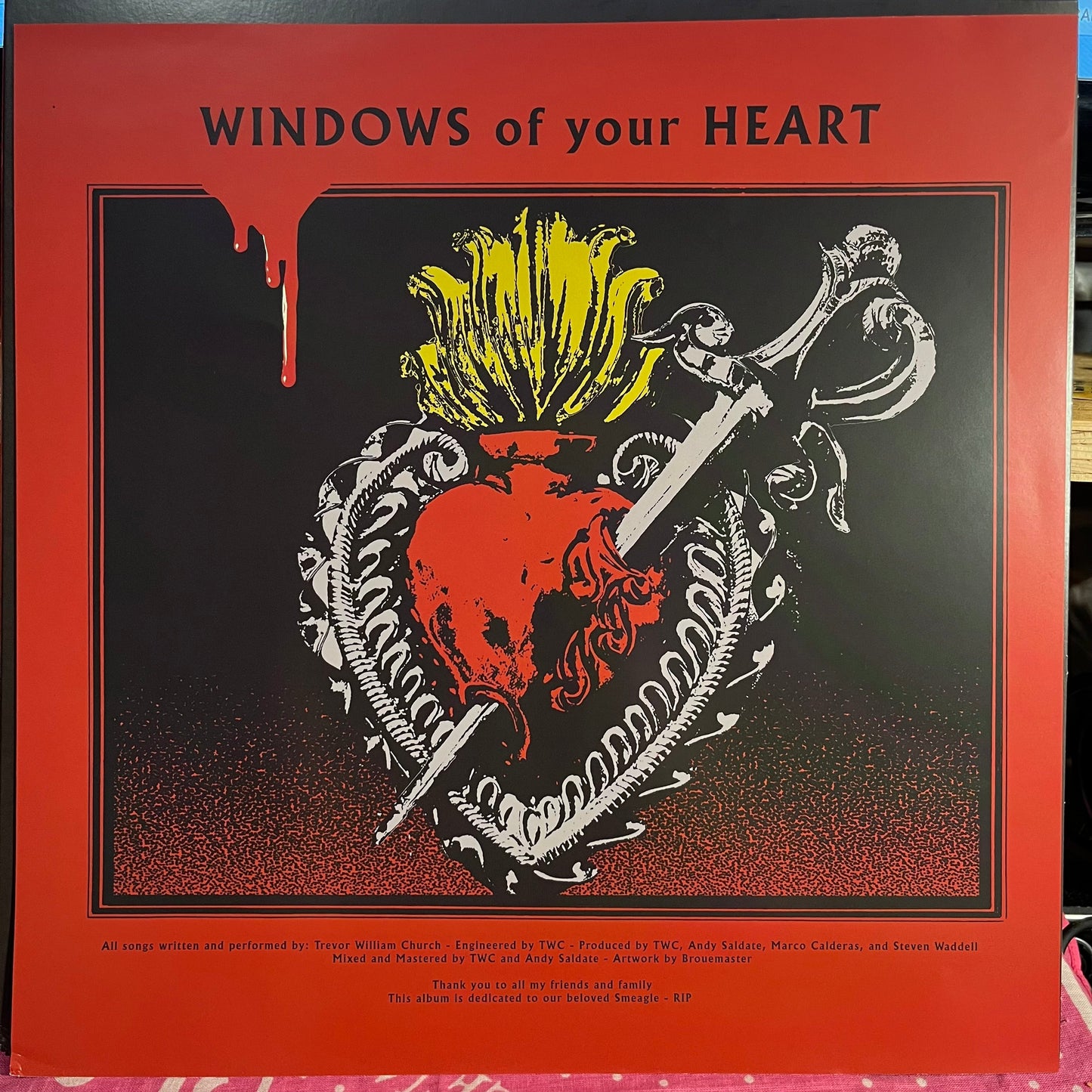 Windows Of Your Heart *HALF BLACK/CLEAR RED SPLATTER* | Mint (M) Near Mint (NM) Get Cheap Vinyl