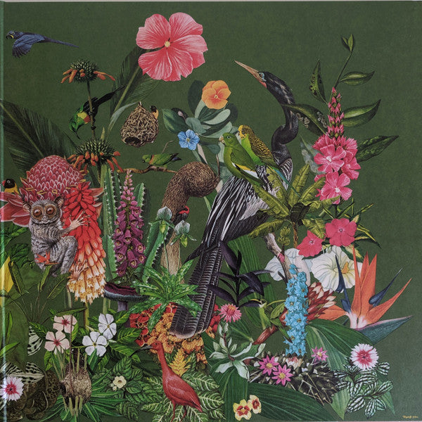 Castaways Vol. 1 | Mint (M) Mint (M) Get Cheap Vinyl