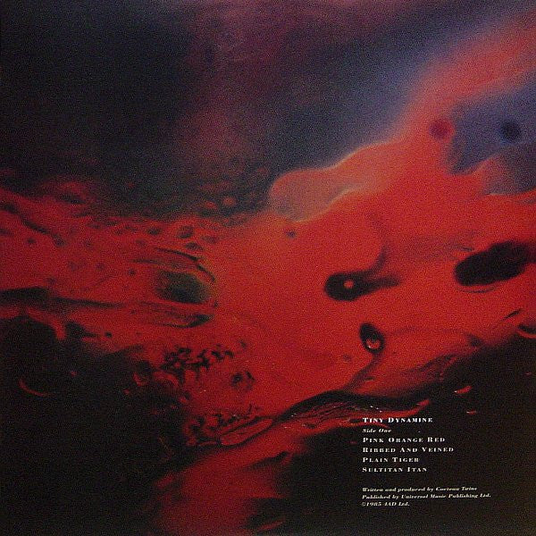 Tiny Dynamine / Echoes In A Shallow Bay | Mint (M) Mint (M) Get Cheap Vinyl