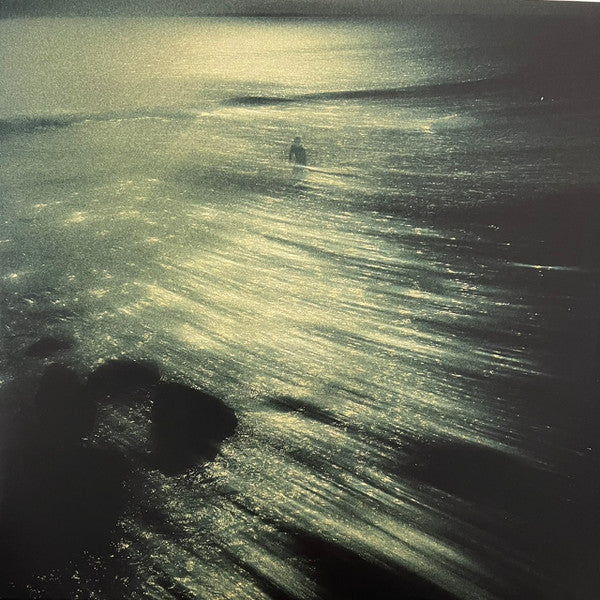 The Last Goodbye | Mint (M) Mint (M) Get Cheap Vinyl
