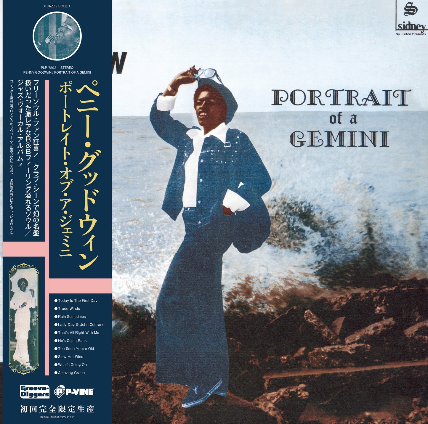 Portrait Of A Gemini | Get Cheap Vinyl