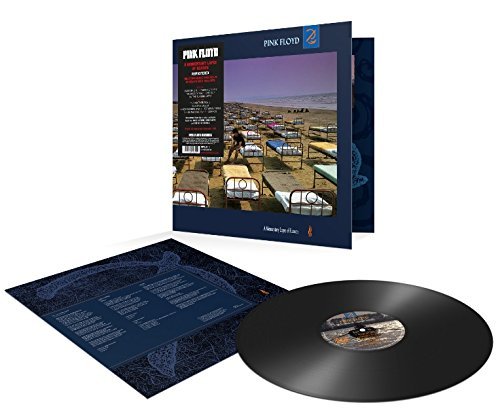 Pink Floyd - Momentary Lapse Of Reason (2011 Remastered) LP | Mint (M) Mint (M) Get Cheap Vinyl