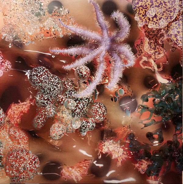 Portals | Mint (M) Mint (M) Get Cheap Vinyl