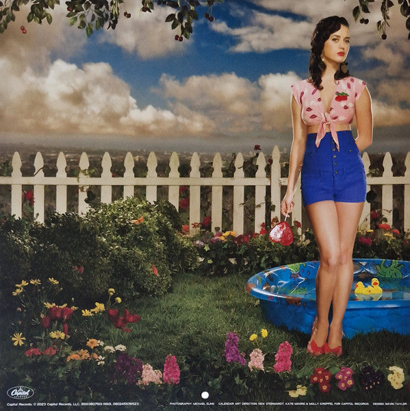 One Of The Boys (BLUE/WHITE SWIRL VINYL) | Mint (M) Mint (M) Get Cheap Vinyl