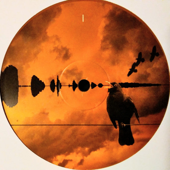 Aerial: 2018 Remaster (IEX: GOLDY LOCKS VINYL) | Mint (M) Mint (M) Get Cheap Vinyl