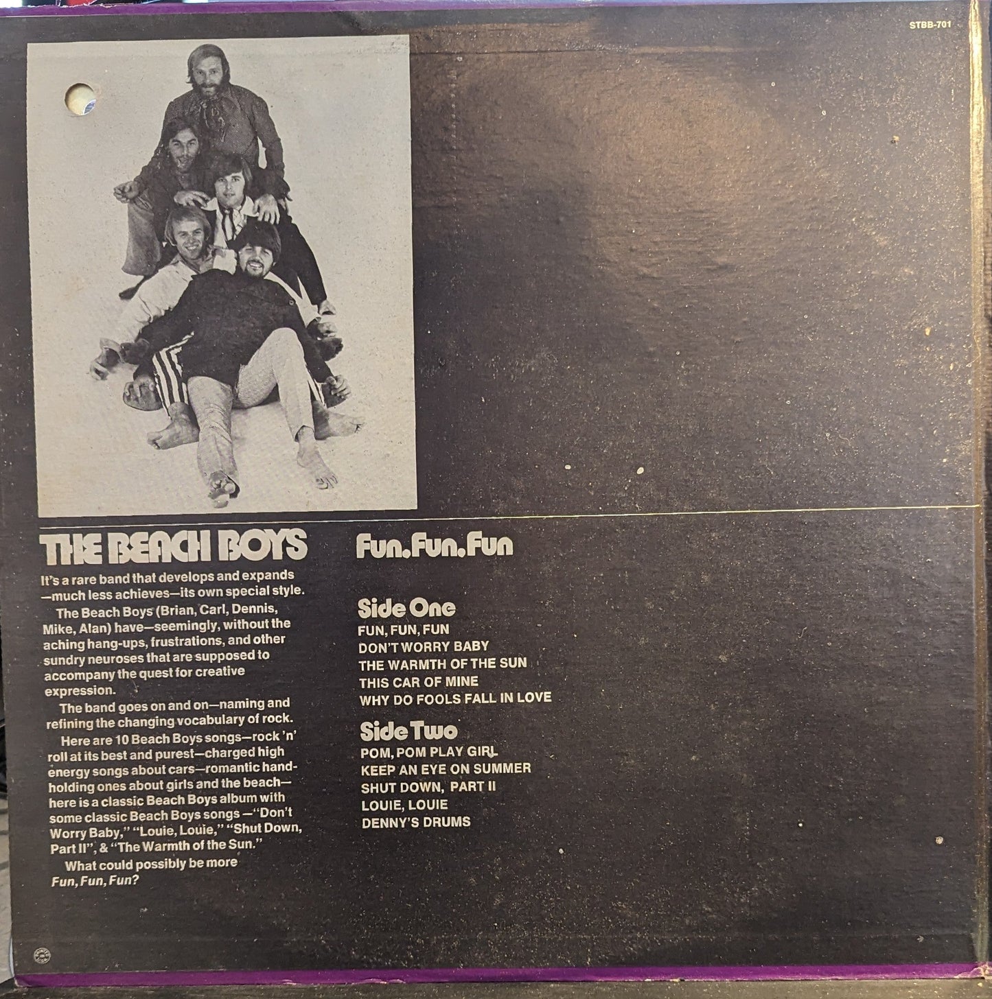 Fun, Fun, Fun *WINCHESTER* | Near Mint (NM) Very Good Plus (VG+) Get Cheap Vinyl