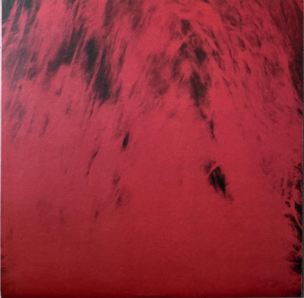 Spiritchaser (VINYL) | Mint (M) Mint (M) Get Cheap Vinyl