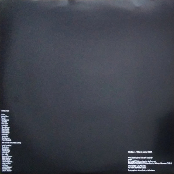Floodland (COLOR VINYL) | Mint (M) Mint (M) Get Cheap Vinyl