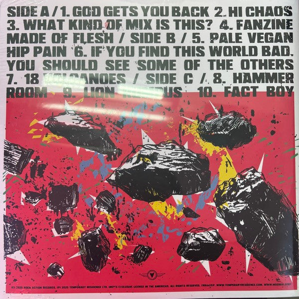 The Bad Fire (2xVINYL LP) | Mint (M) Mint (M) Get Cheap Vinyl