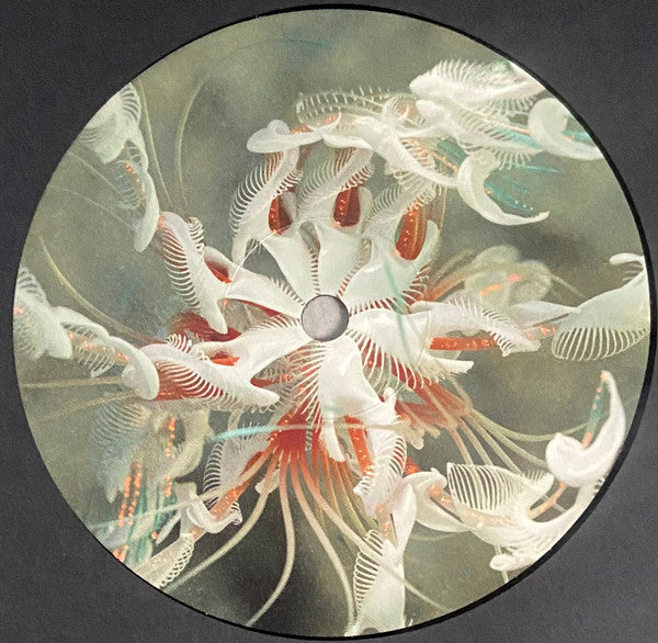 Dun Dun (VINYL) | Mint (M) Mint (M) Get Cheap Vinyl