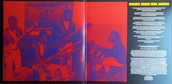 100% Dynamite! (2xVINYL) | Mint (M) Mint (M) Get Cheap Vinyl