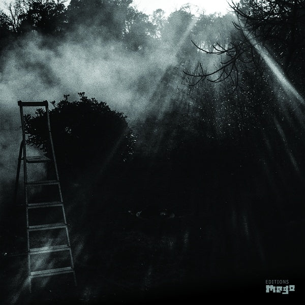 Animal Electrique | Get Cheap Vinyl