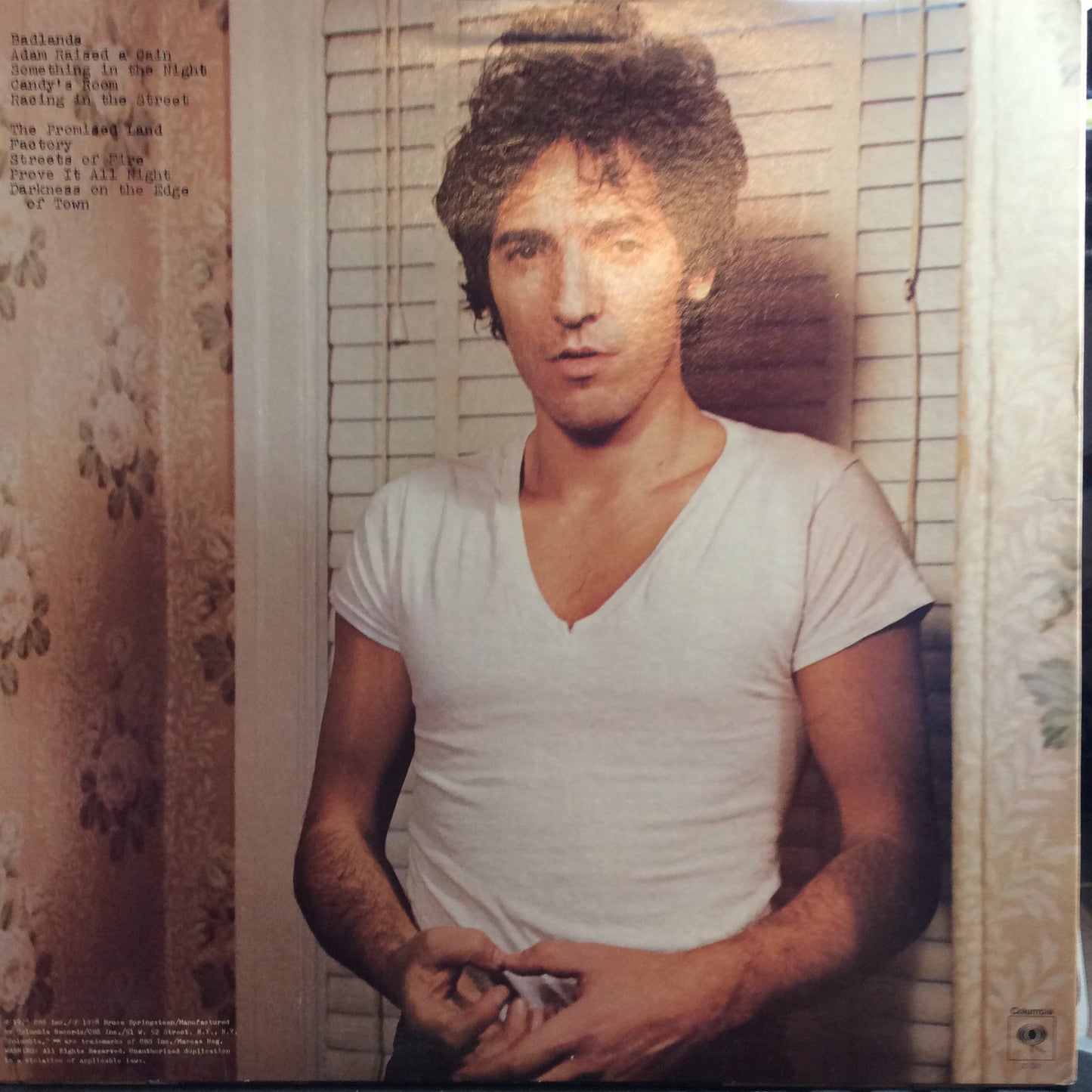 Darkness On The Edge Of Town (VINYL) | Excellent (EX) Excellent (EX) Get Cheap Vinyl