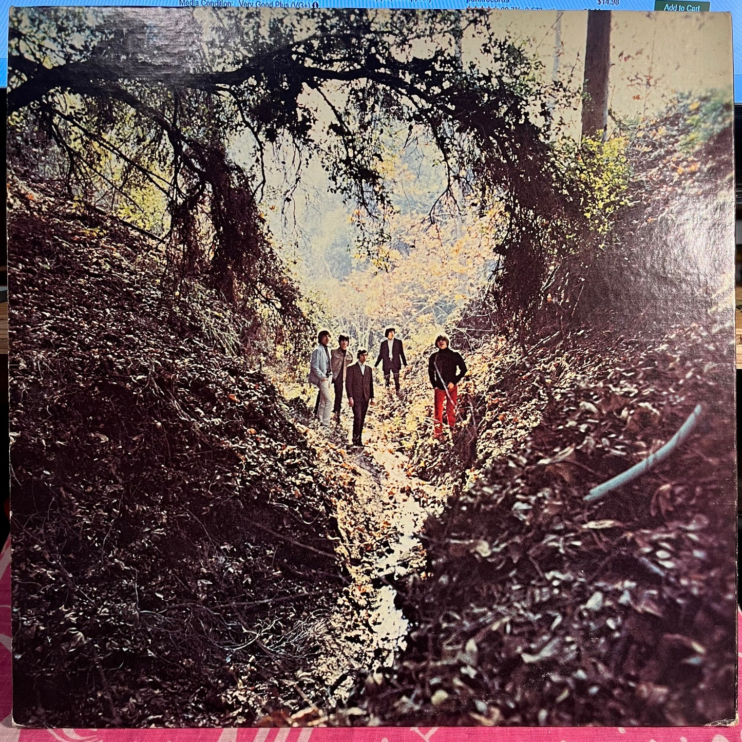 Big Hits (High Tide And Green Grass) *REPRESS* | Near Mint (NM) Near Mint (NM) Get Cheap Vinyl