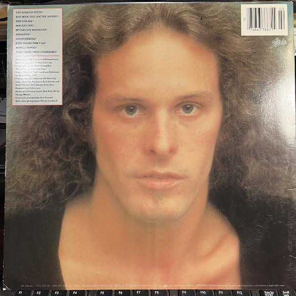 Great Gonzos! - The Best Of Ted Nugent (VINYL) | Near Mint (NM) Near Mint (NM) Get Cheap Vinyl