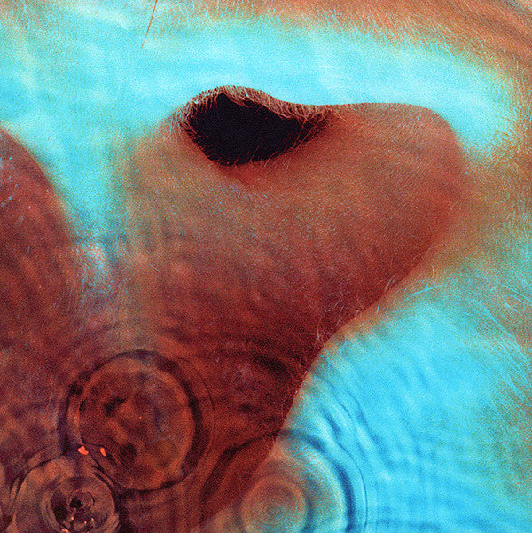Meddle (VINYL) | Mint (M) Mint (M) Get Cheap Vinyl