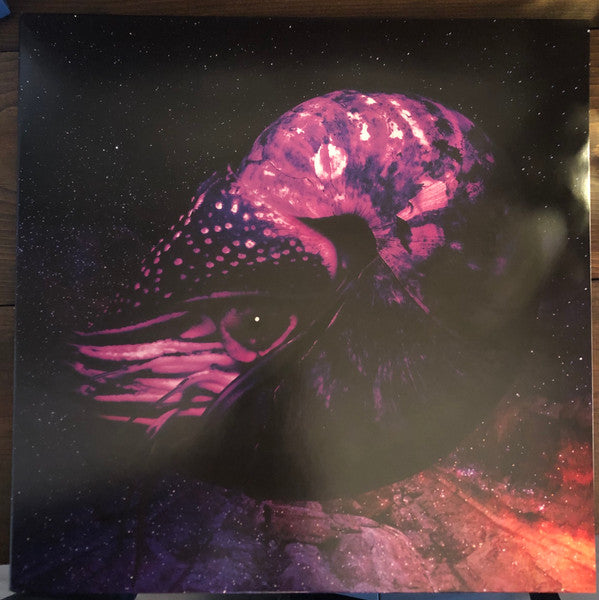 Creeps | Mint (M) Mint (M) Get Cheap Vinyl