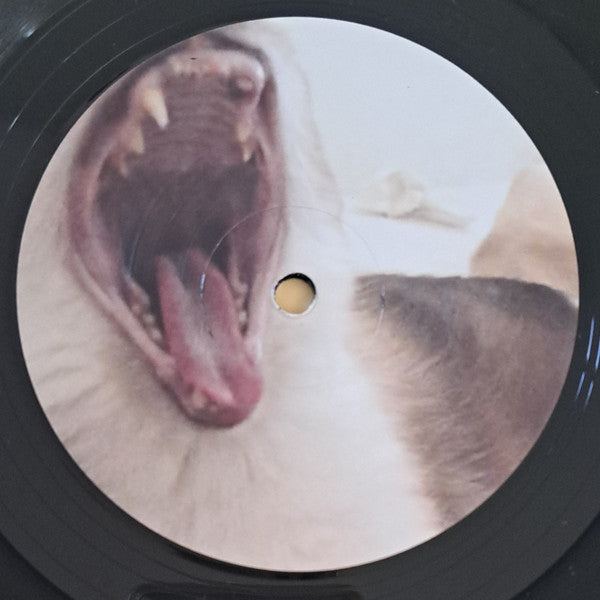 Habe Ich Gewonnen? | Mint (M) Mint (M) Get Cheap Vinyl