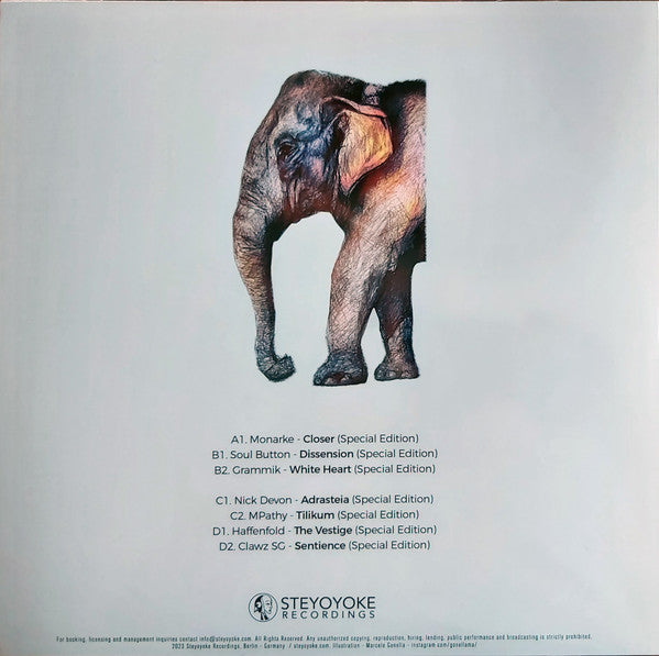 Steyoyoke 200 | Mint (M) Mint (M) Get Cheap Vinyl