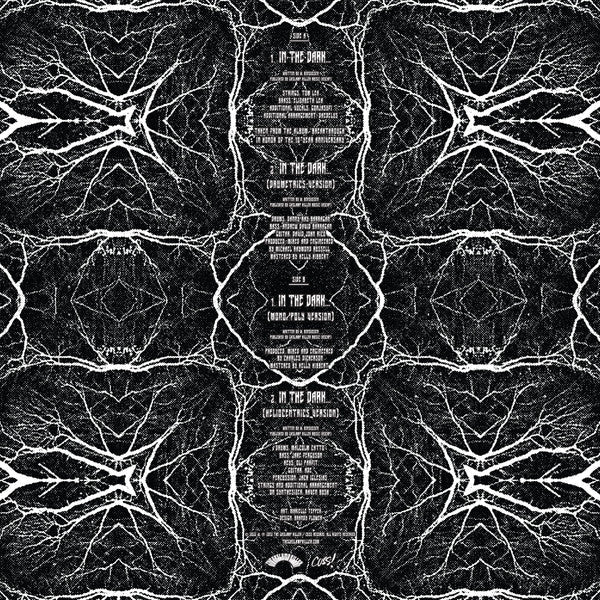In The Dark | Mint (M) Mint (M) Get Cheap Vinyl