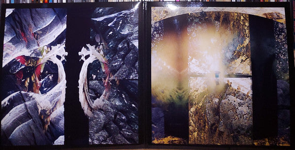Dragons | Mint (M) Mint (M) Get Cheap Vinyl